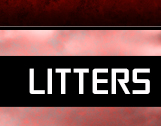 Litters