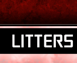 Litters